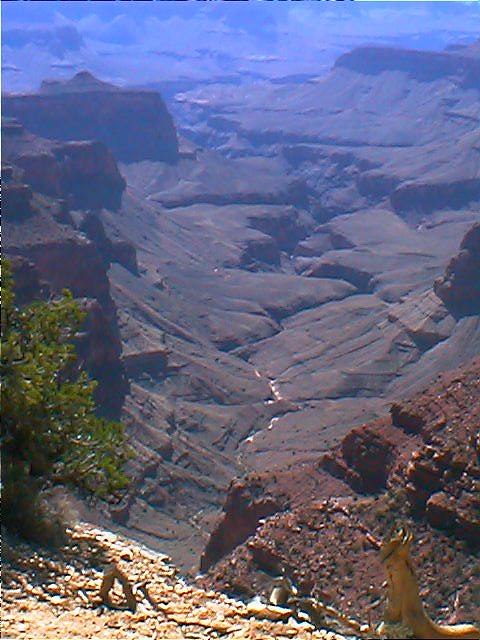 01_00084.jpg - 58187 Bytes