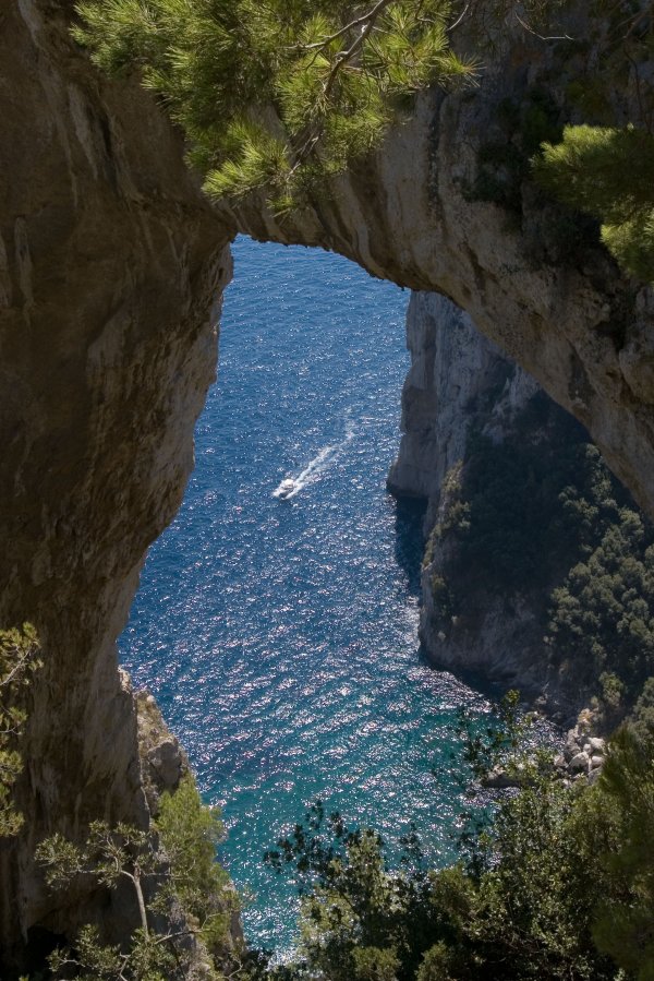 Arco Naturalla