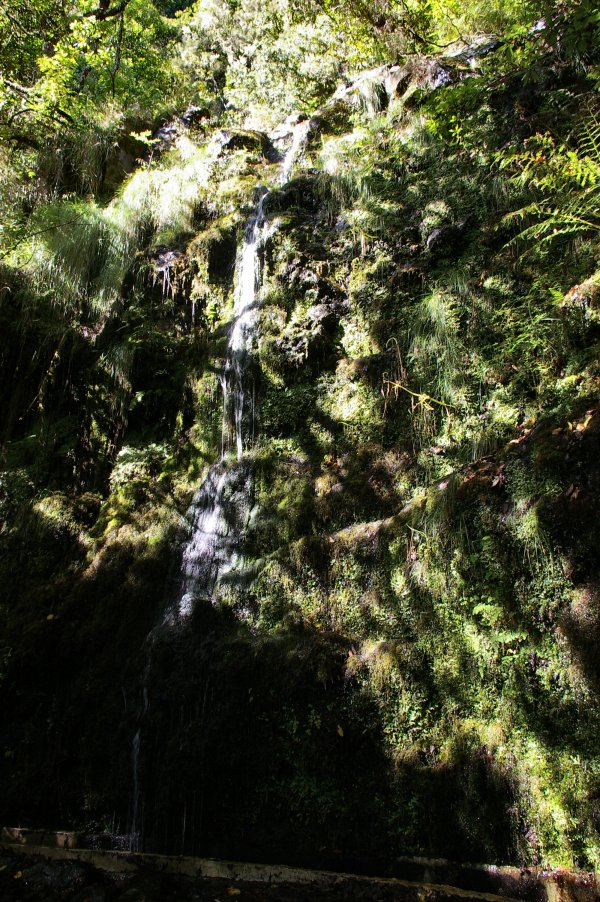 Fresh water feeds into Levada