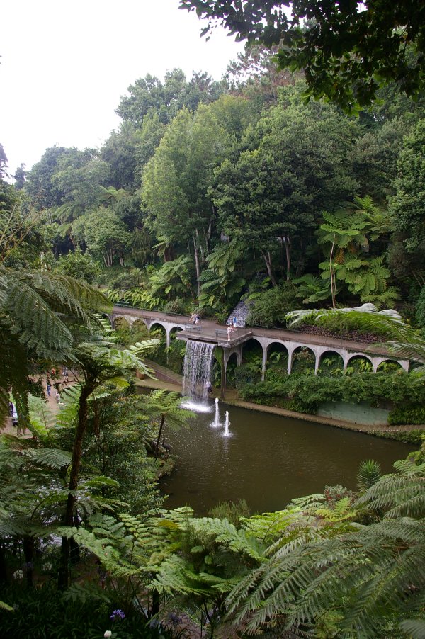 Large trees and water abound here