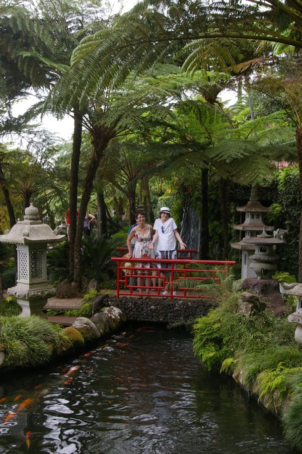 Oriental theme means lots of ponds and Koi Carp!