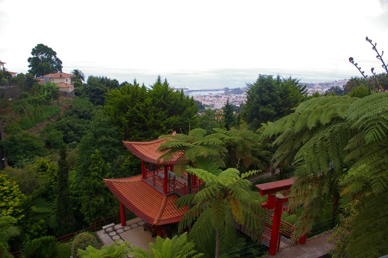 View over Funchal drew visitors in late 19th through to mid 20th century