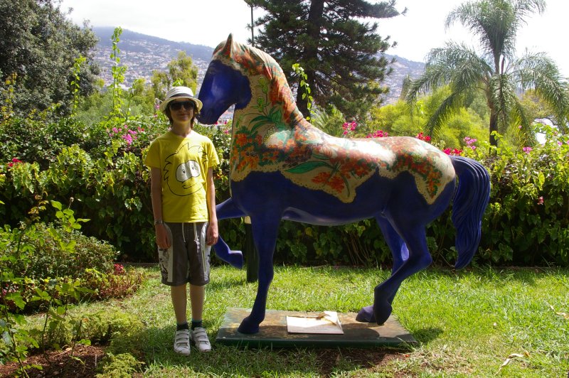 The only horse we saw all week!