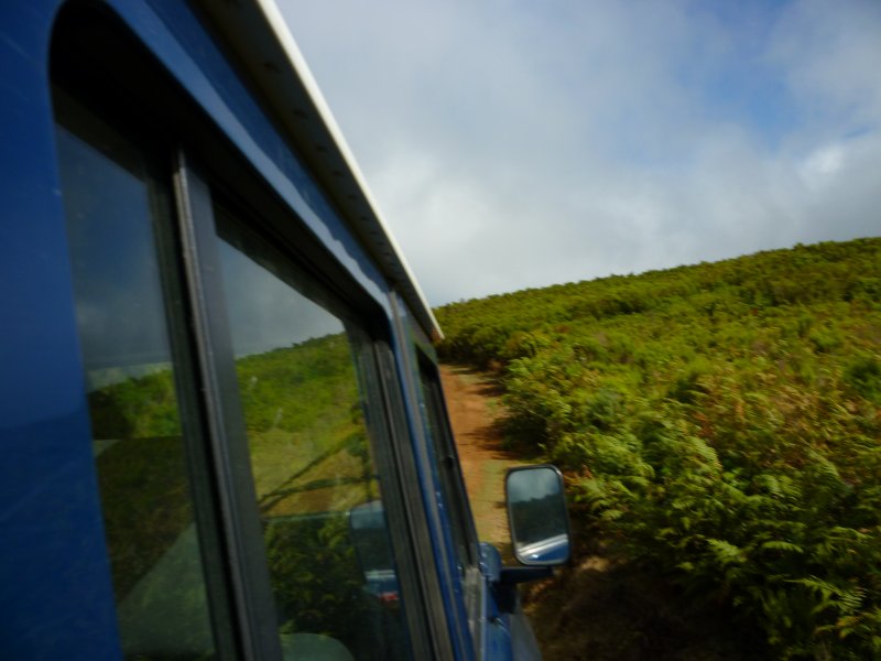 Bumping along offroad