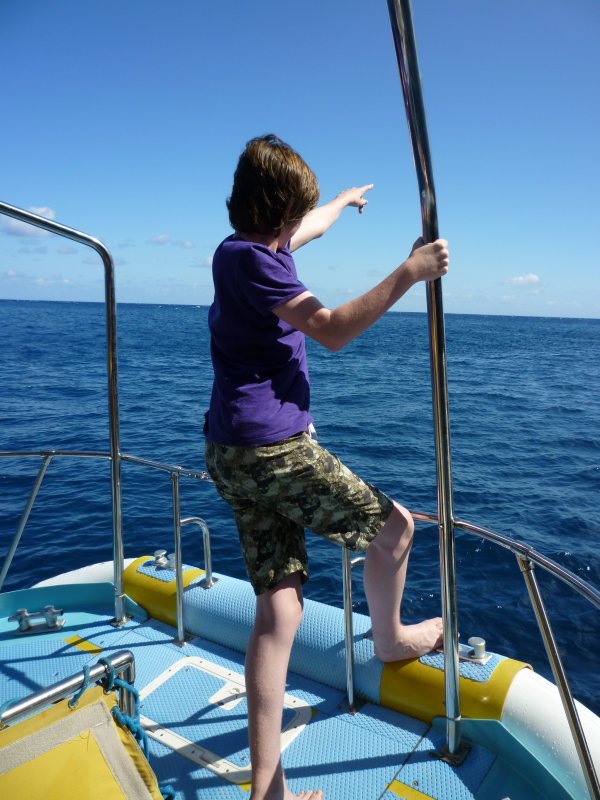 They're more your guidelines