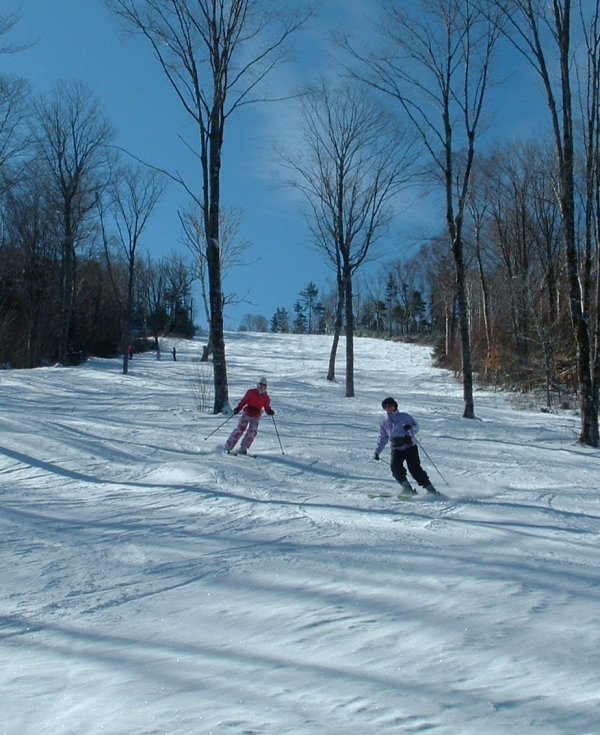 Gladed runs at Bretton Woods.