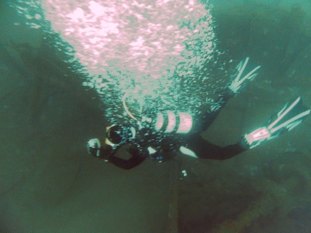 Diver over the Pronto