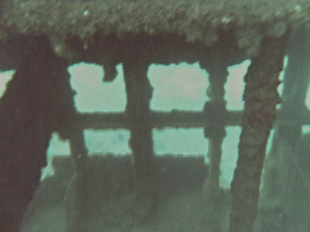 Ribs of wreck