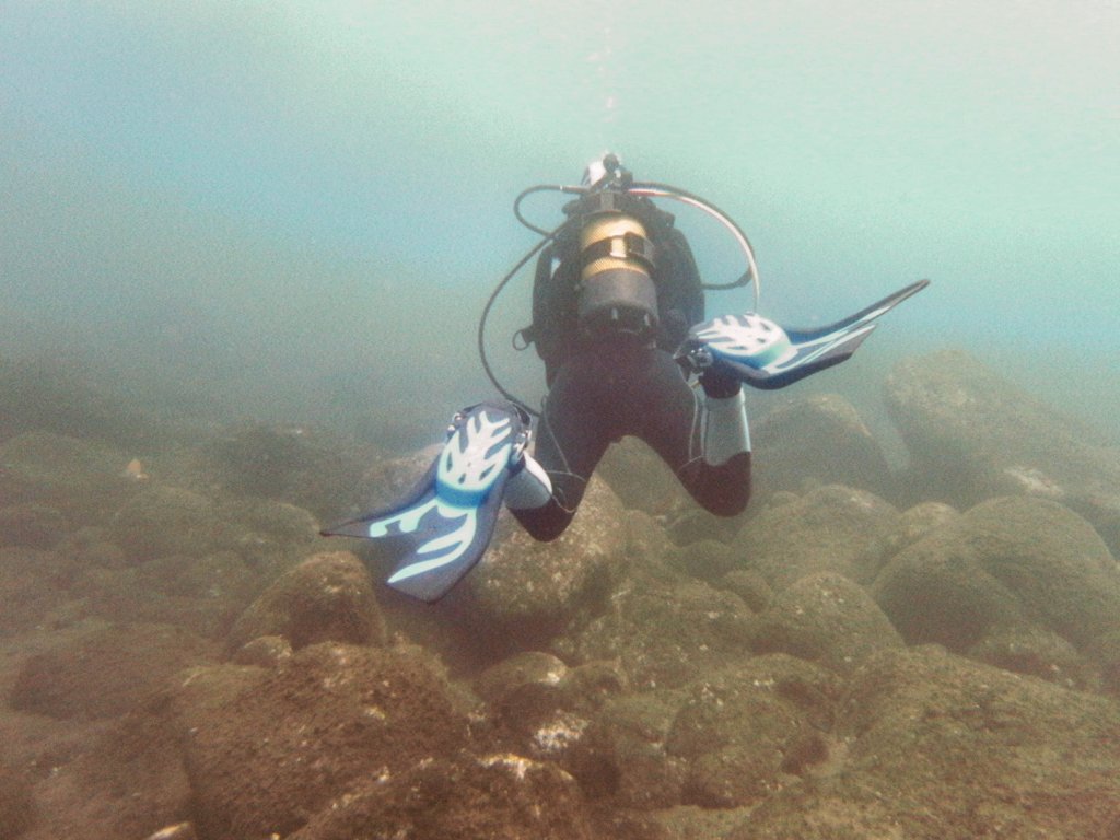 Navigation Dive around housereef