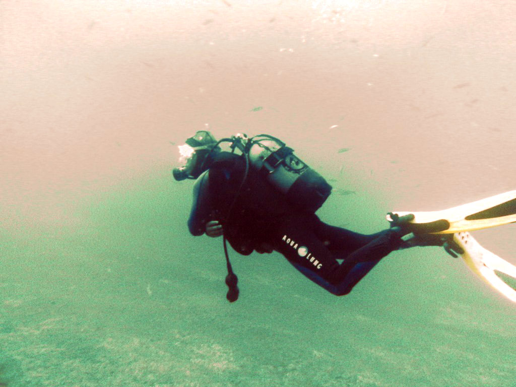 Diver in Garajau