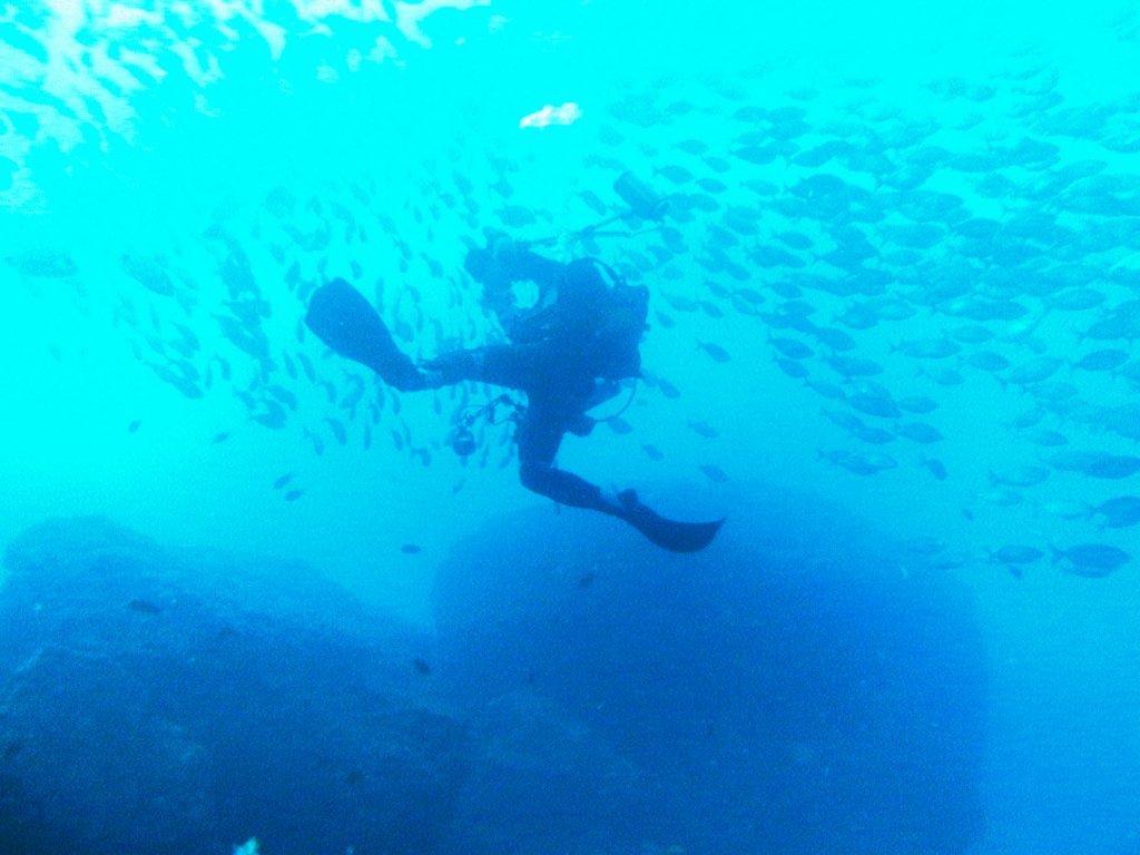 Photographer on a safety stop